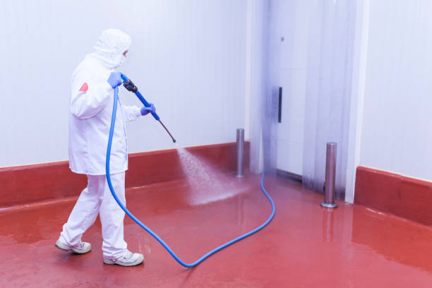 Best Pre-Holiday Cleaning  in New Middletown, OH